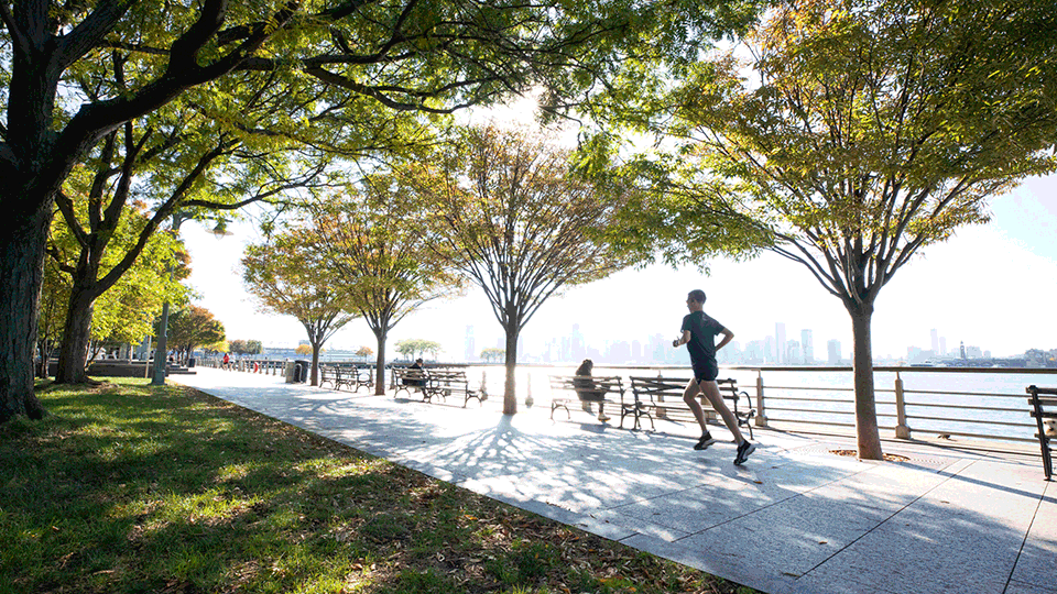 NYC Guide by Bel Niemeyer