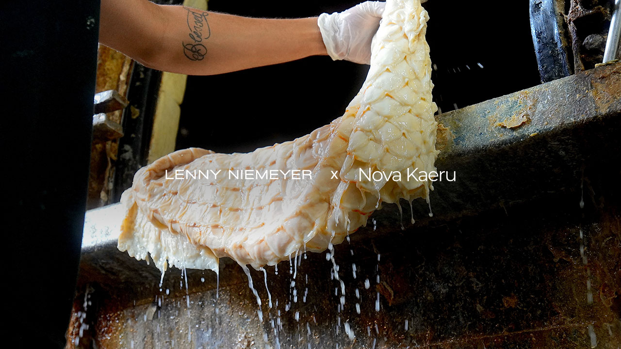 Lenny Niemeyer + Nova Kaeru